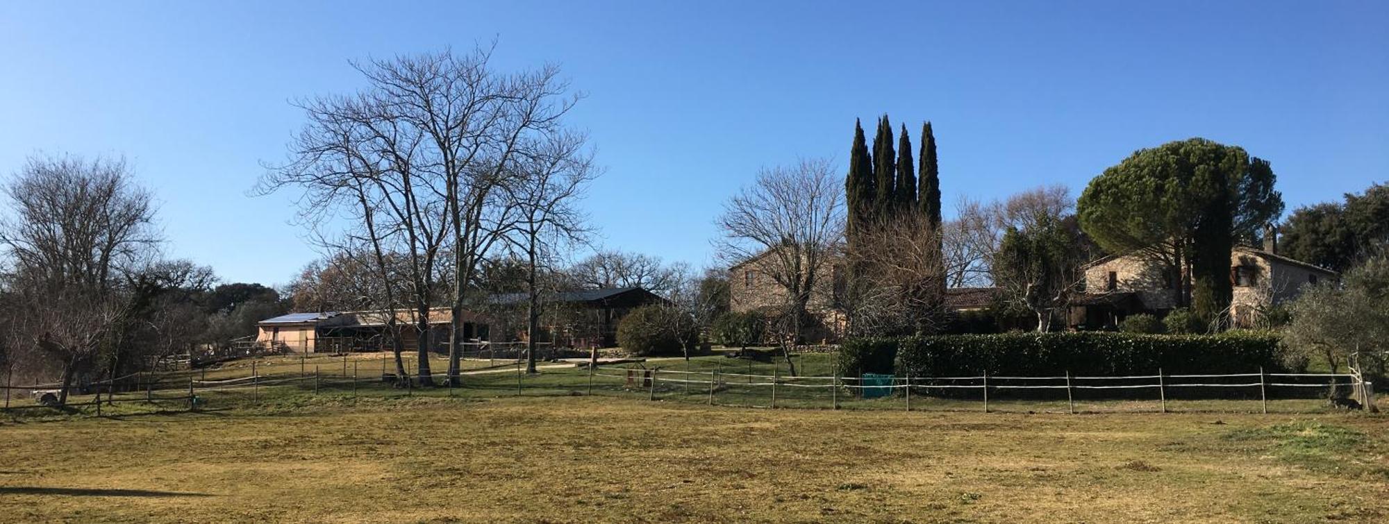 Podere Conte Racani Амелиа Экстерьер фото