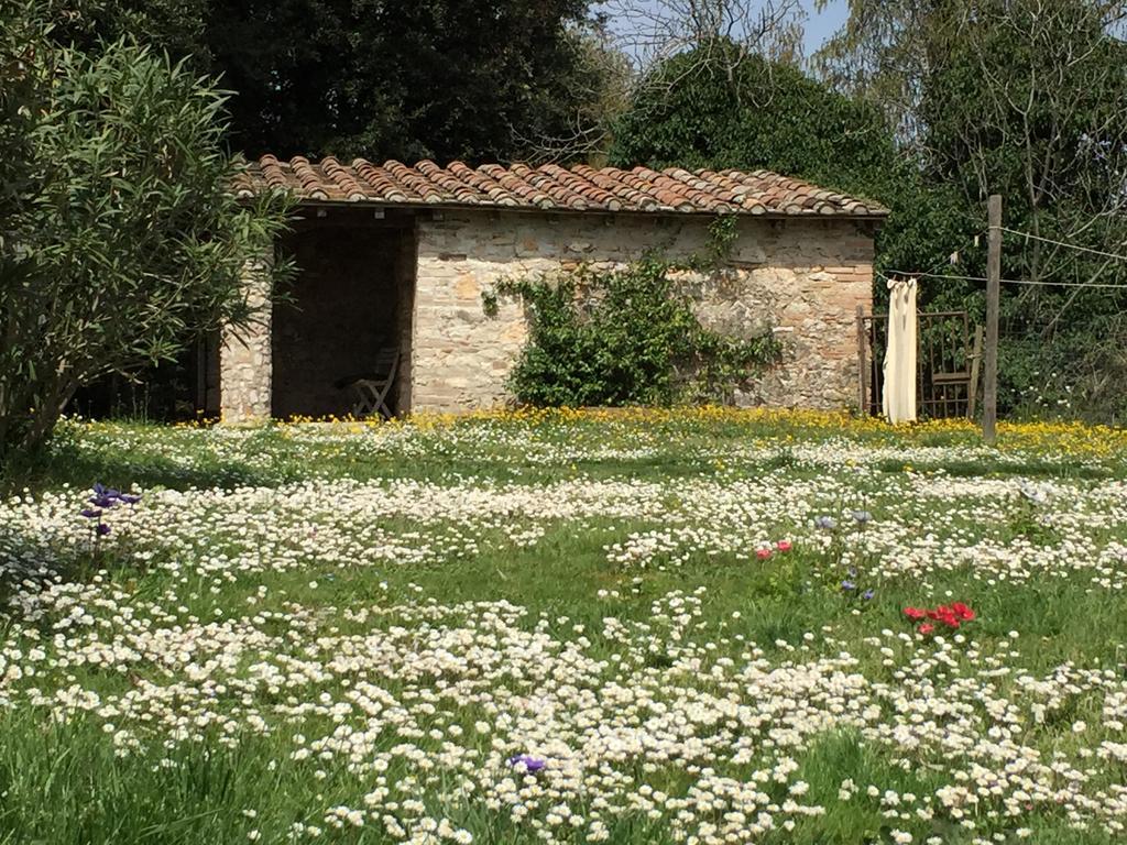 Podere Conte Racani Амелиа Экстерьер фото