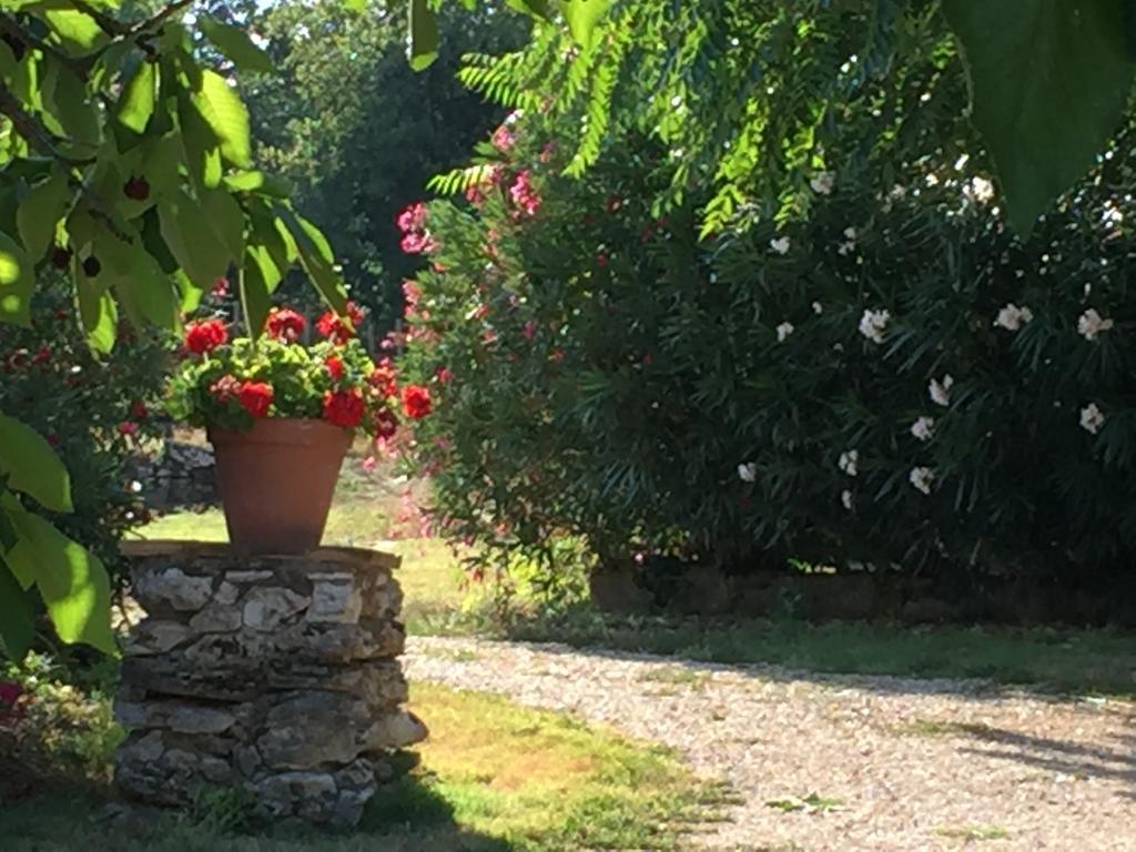 Podere Conte Racani Амелиа Экстерьер фото