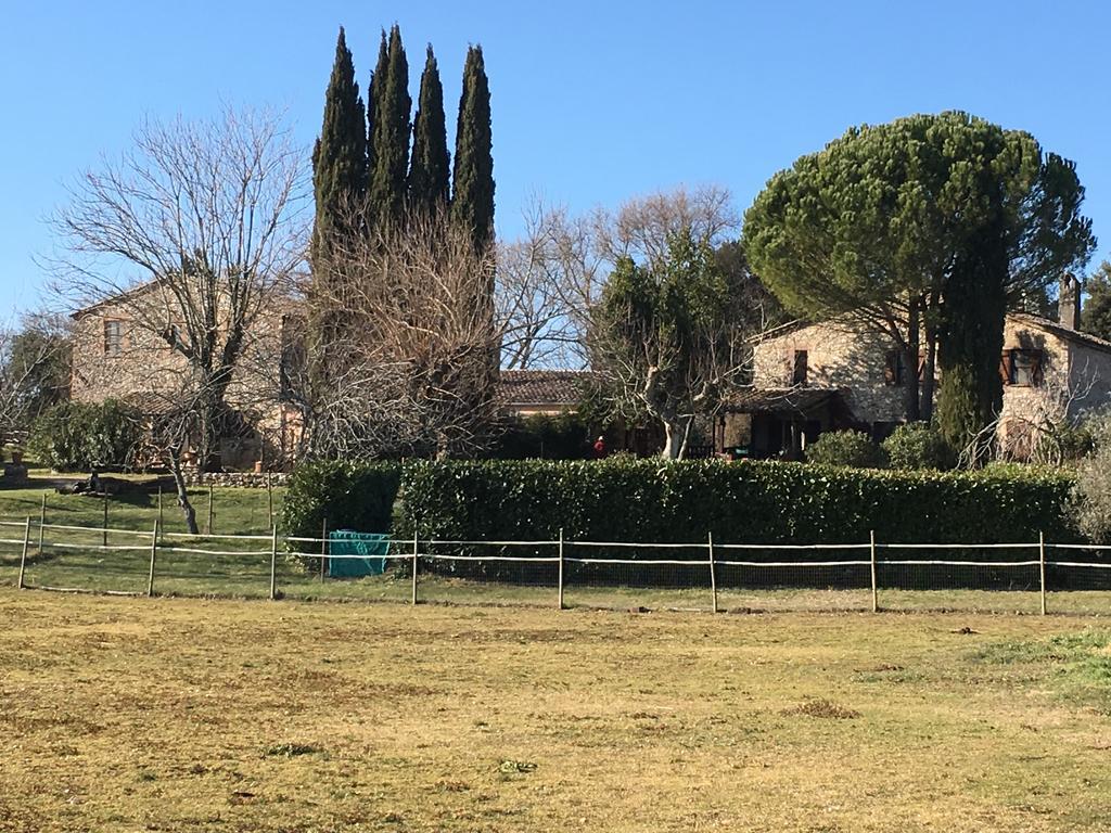 Podere Conte Racani Амелиа Экстерьер фото