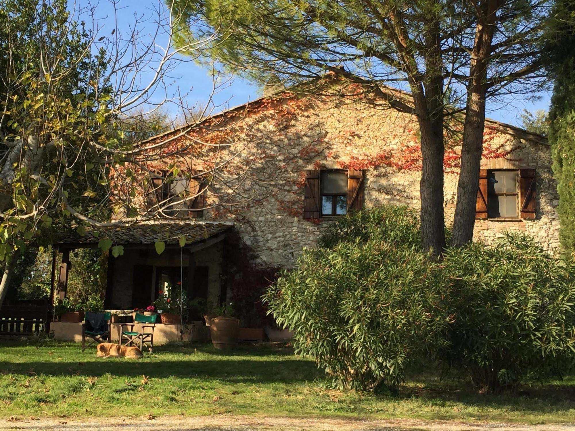 Podere Conte Racani Амелиа Экстерьер фото