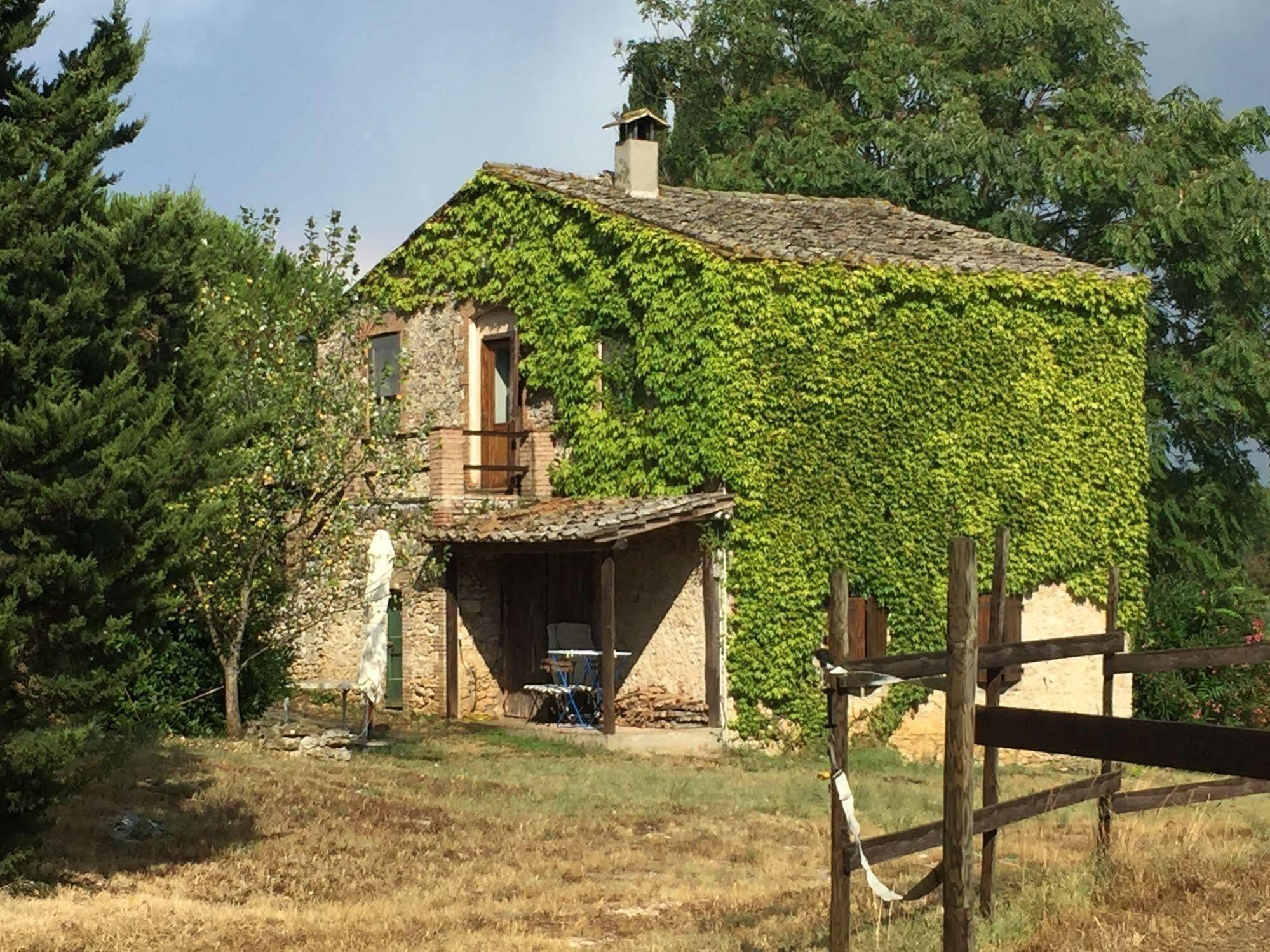 Podere Conte Racani Амелиа Экстерьер фото