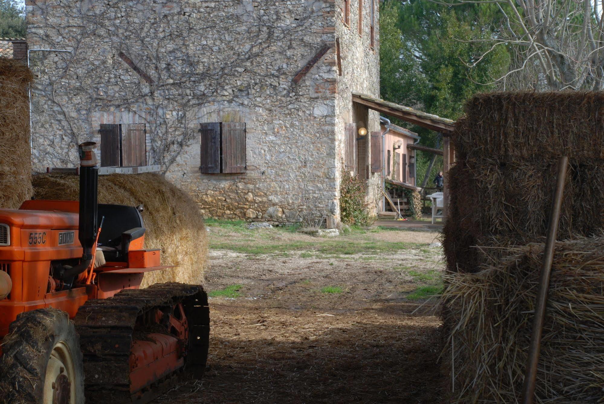 Podere Conte Racani Амелиа Экстерьер фото