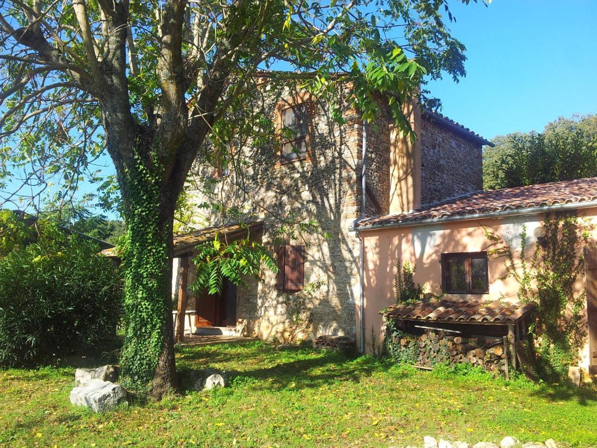 Podere Conte Racani Амелиа Номер фото